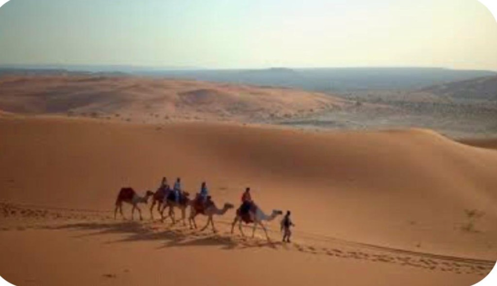 خلفية الهيدر