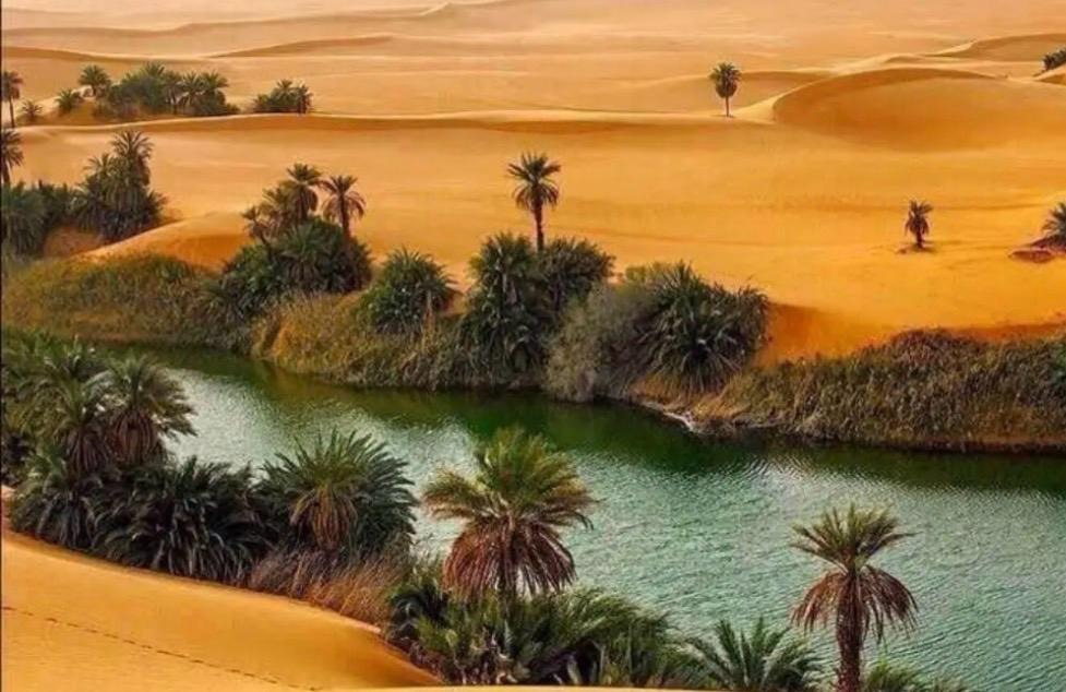 خلفية الهيدر
